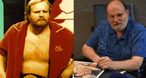 ole anderson net worth